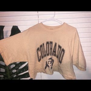 Colorado state university crop top